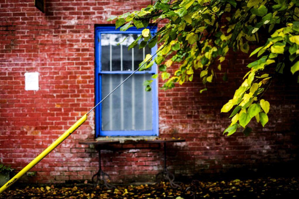 Brick wall with a blue framed window.
