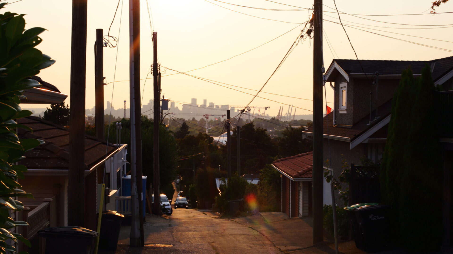A suburban alley, lined with garages and telephone poles.