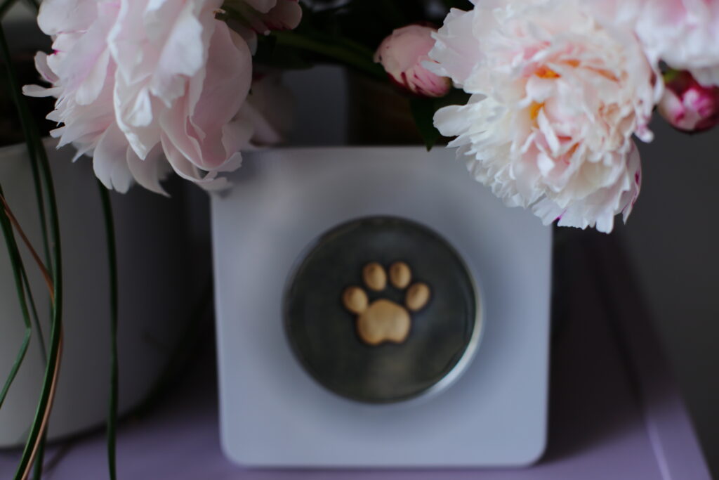 A framed paw print sits on display in front of some peonies.
